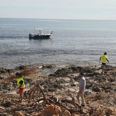 Imagen Comienza   la   limpieza   de   las   calas   de   Cabo   Roig   yAguamarina desde el mar